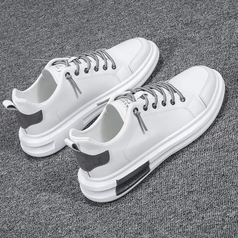 gid://shopify/MediaImage/24692163936350